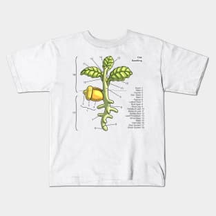 Oak Seedling Diagram Kids T-Shirt